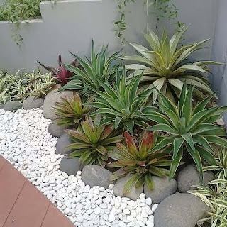 Revitalisasi Taman Kering