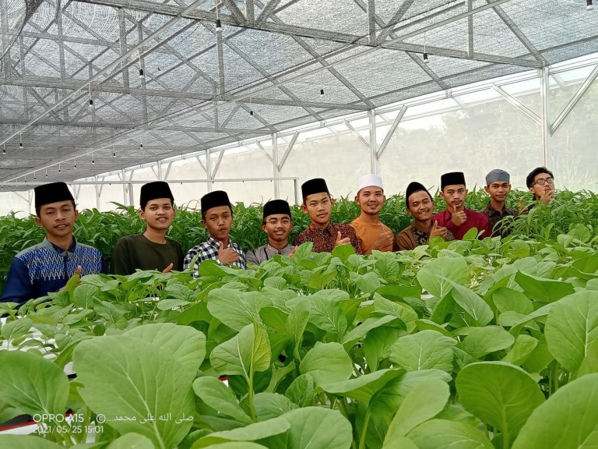 Greenhouse di Pondok Pesantren Kemandirian