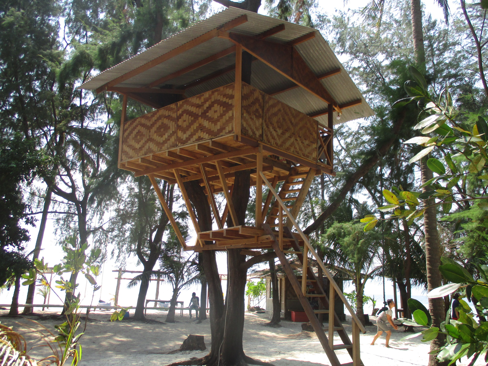 Rumah pohon impian menjadi hunian modern