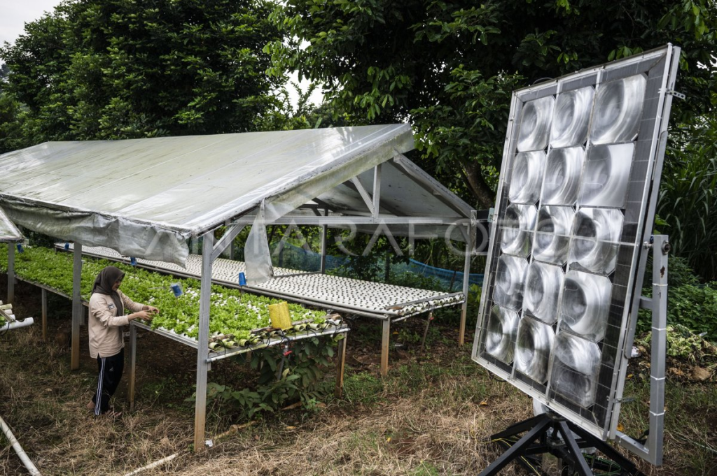 Hydroponic Indoor Garden AI Sensor Solar Urban Indonesia 2025: Solusi Cerdas & Hemat Energi yang Mengubah Krisis Menjadi Peluang