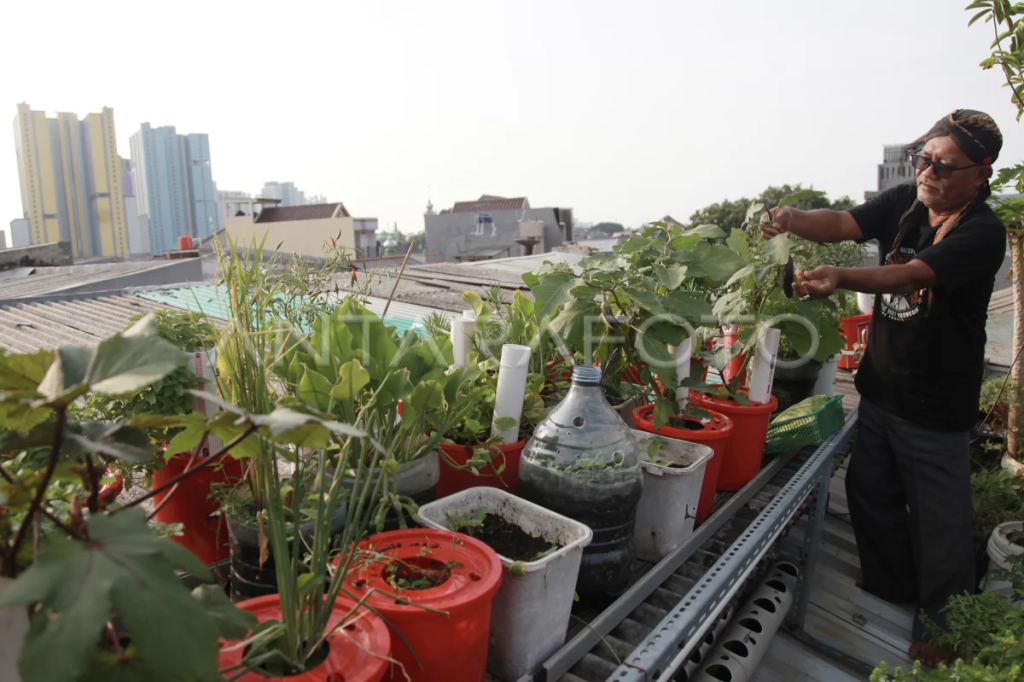 Hydroponic Indoor Garden AI Sensor Solar Urban Indonesia 2025: Solusi Cerdas & Hemat Energi yang Mengubah Krisis Menjadi Peluang