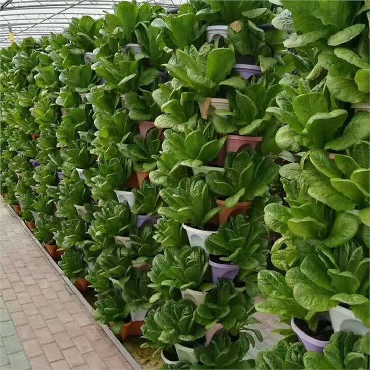 Vertical Hydroponic Tower Jakarta 2025: Solusi Tanam Sayur Hemat Ruang & Air