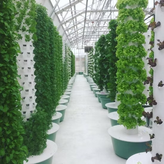 Vertical Hydroponic Tower Jakarta 2025: Solusi Tanam Sayur Hemat Ruang & Air