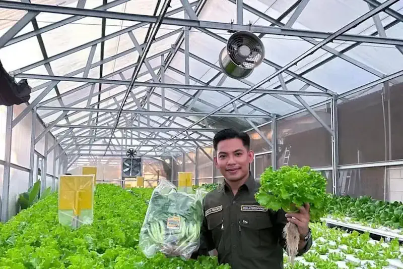 Hydroponic Indoor Garden AI Sensor Solar Urban Indonesia 2025: Solusi Cerdas & Hemat Energi yang Mengubah Krisis Menjadi Peluang