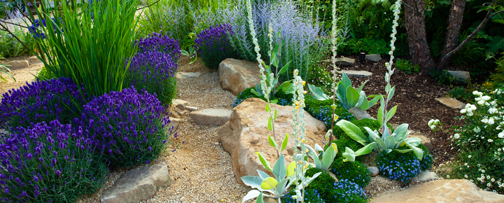 7 Tren Taman 2026 Native Plants Ramah Lingkungan