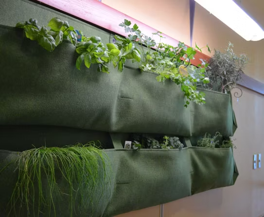 Vertical Urban Garden: 5 Cara Bikin Kebun Dinding yang Bikin Rumah Makin Asri