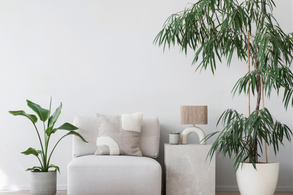 Bukan Sekadar Cantik, 5 Combo Monstera Pothos Ini Wajib Ada di Rumahmu
