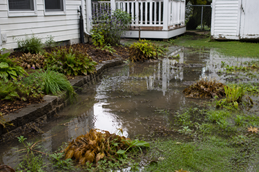 Jangan Tunggu Banjir, Rain Garden 2026 Bisa Selamatkan Halamanmu Mulai 1 M²